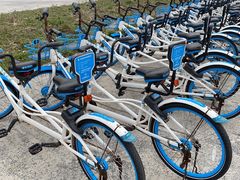 -黄海国家森林公园