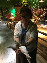 -酷嗒动物文化乐园(cutezoo西溪乐天城店)