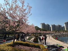 -新江湾城公园