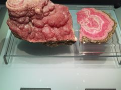 -安徽省地质博物馆