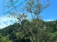 -泰山风景名胜区