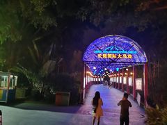 -广州长隆国际大马戏