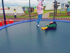 -上海都市菜园