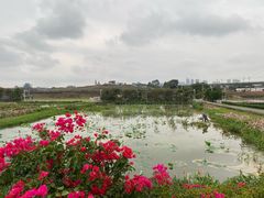 -光明小镇欢乐田园