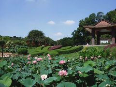 -广州莲花山旅游区