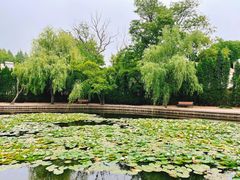 -八大关景区