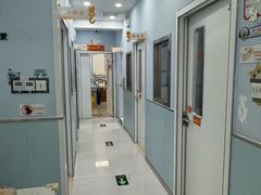 -纳吉亚猫专科动物诊疗中心(蒋宅口分院)