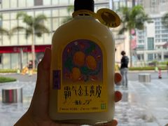 霸气金玉黄皮-奈雪的茶(皇庭广场店)