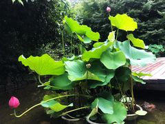 门面-解香楼(八盘岭路店)