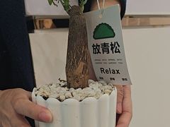 -雅德嘉口腔(时雨园店)