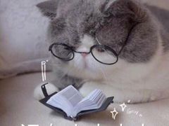 -优衣库(银座店)