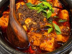 -陈麻婆豆腐(旗舰店)