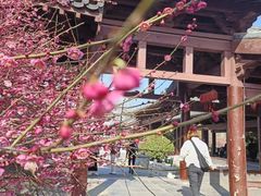 -祥源·阜阳生态乐园