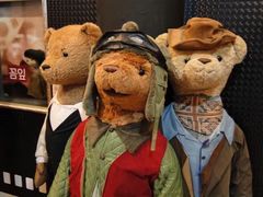 -济州岛泰迪熊博物馆