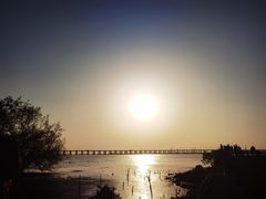 -宝安西湾红树林湿地公园