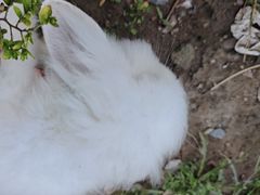 -奉天宴遇烧烤·冒锅