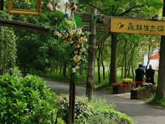 -东平国家森林公园