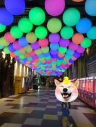 -宝燕乐园(闵行旗舰店)