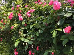 -田园印象·成都土菜院子(华阳店)