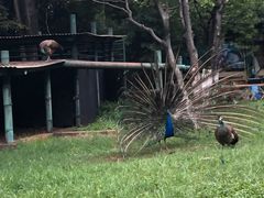 -昆明动物园
