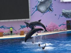 -北戴河圣蓝海洋公园