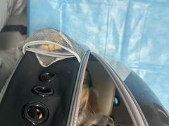 -达爱动物医院·犬猫分区·CT·复杂眼科(远洋山水分院)