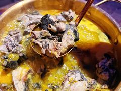 -Darling Queen·Mini·Live·House