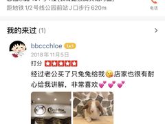 -龙猫仔乐园(惠福东路店)