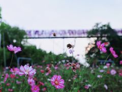 -铜川市金锁关石林