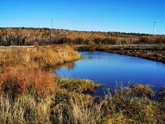 -五营红松林海景区