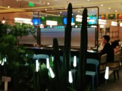 -润园四季椰子鸡火锅(南山海岸城店)