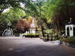 -上海佘山国家森林公园西佘山园