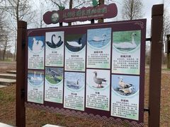 -宁波杭州湾国家湿地公园