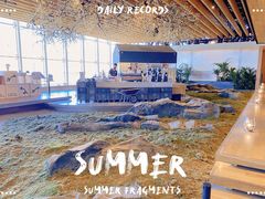 -Seesaw Coffee(朝阳大悦城店)