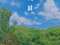 -蒙山大佛景区