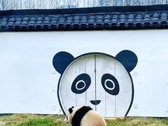 -杭州野生动物世界