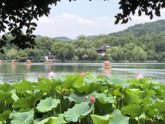-湖畔居茶楼(湖滨店)