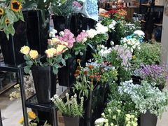 -ChaKo Flora ·茶子花艺 (市北店)