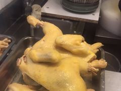 -九斤黄三黄鸡专卖店