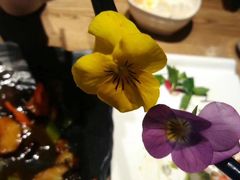 -素行天下(国投财富广场店)