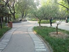 -宣武艺园
