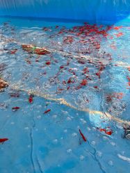 -萌宠亲子动物乐园(槐房万达店)