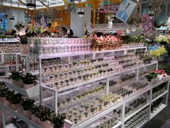 -KKV(深圳宏发大仟里店)