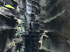 -梭布垭石林景区