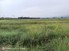 -敕勒川草原
