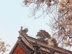 -颐和园