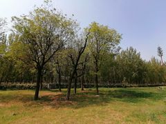 -汉长安城未央宫国家考古遗址公园