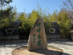 -阳台山自然风景区