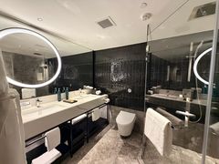 -新加坡乌节希尔顿酒店 (SG Clean)