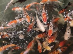 -北京金龙潭御瑞酒店(花园桥地铁站店)